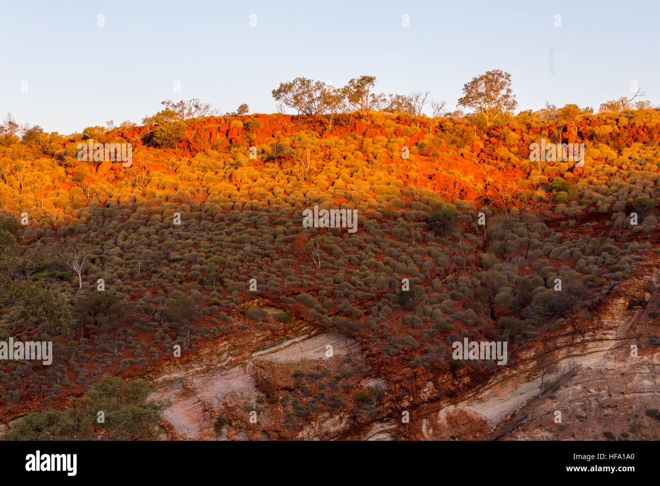 Hamersley Gorge, Karijini National Park, Western Australia Stock Photo