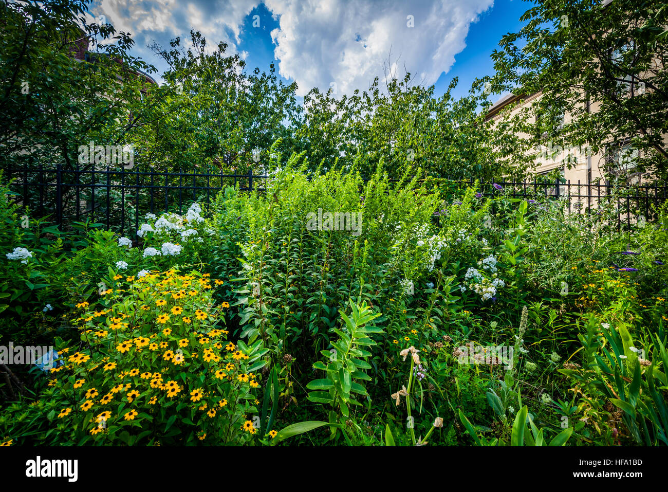 Gardens at Southwest Corridor Park, in Back Bay, Boston, Massachusetts