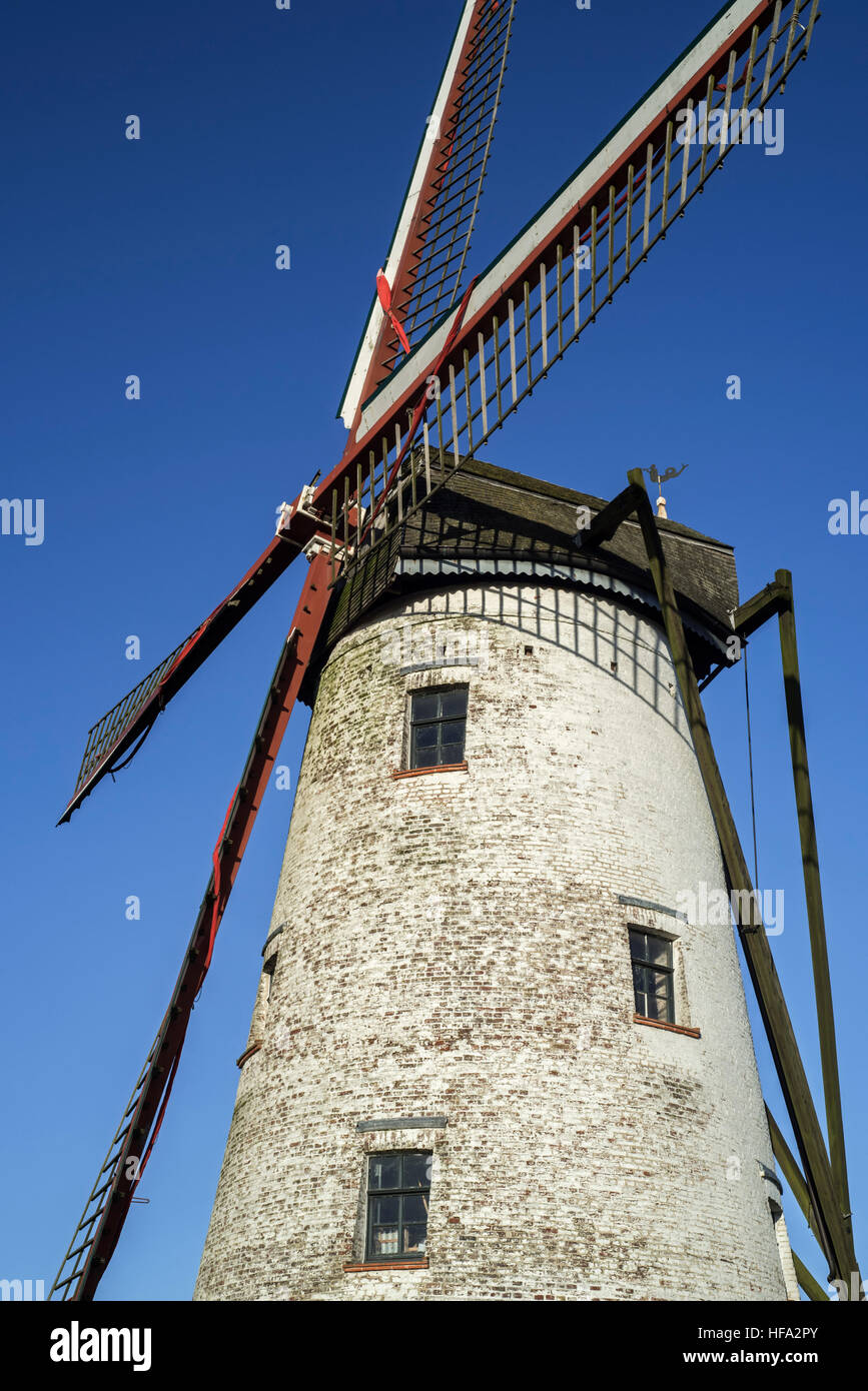 The Schellemolen / Schelle mill, traditional windmill along the canal Damse Vaart near Damme, West Flanders, Belgium Stock Photo