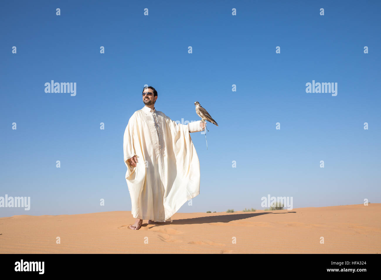 Traditionally dressed Arab man with a saker falcon. Stock Photo