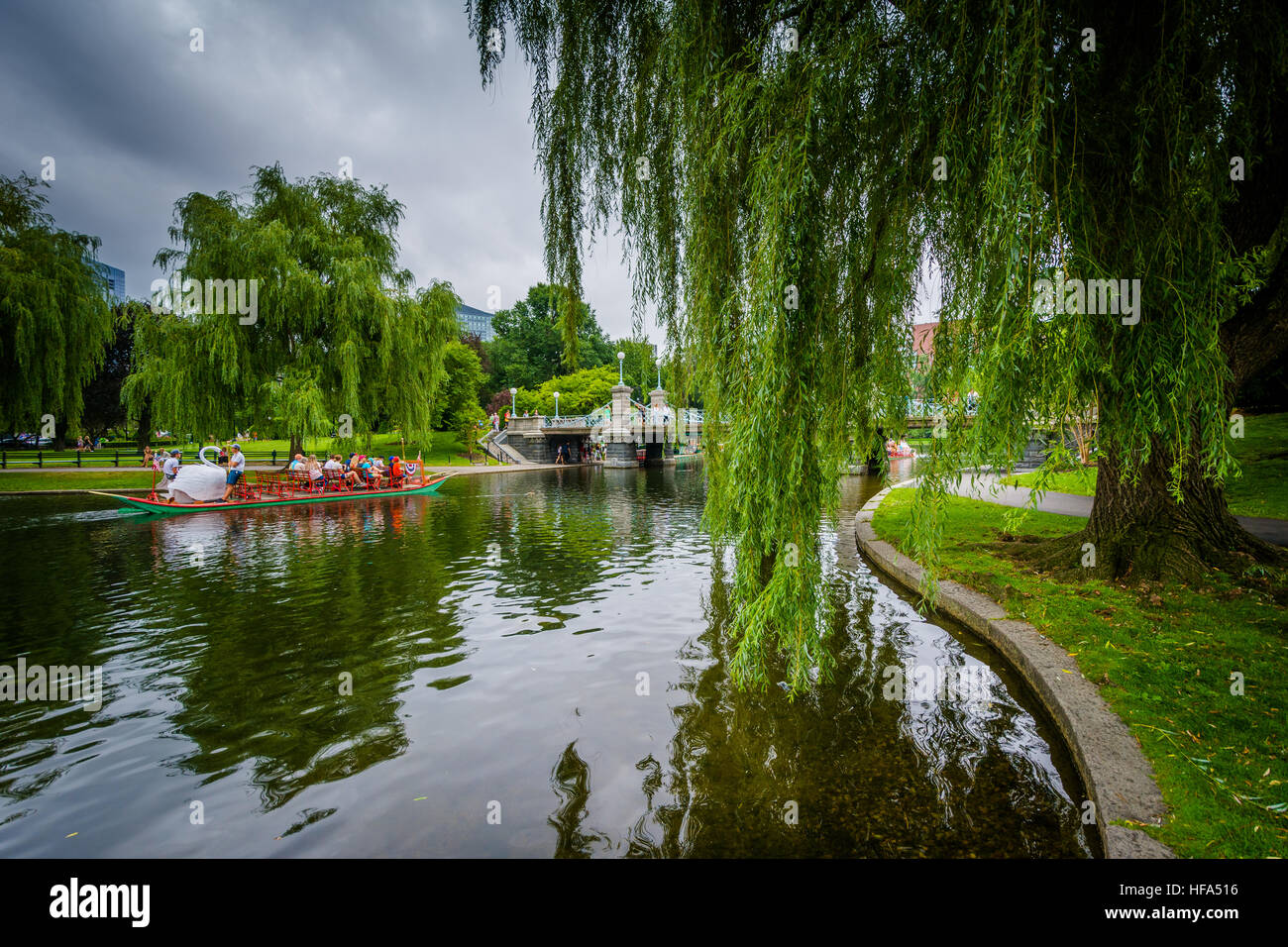 Weeping willows along the Boston Public Garden lagoon photo 2
