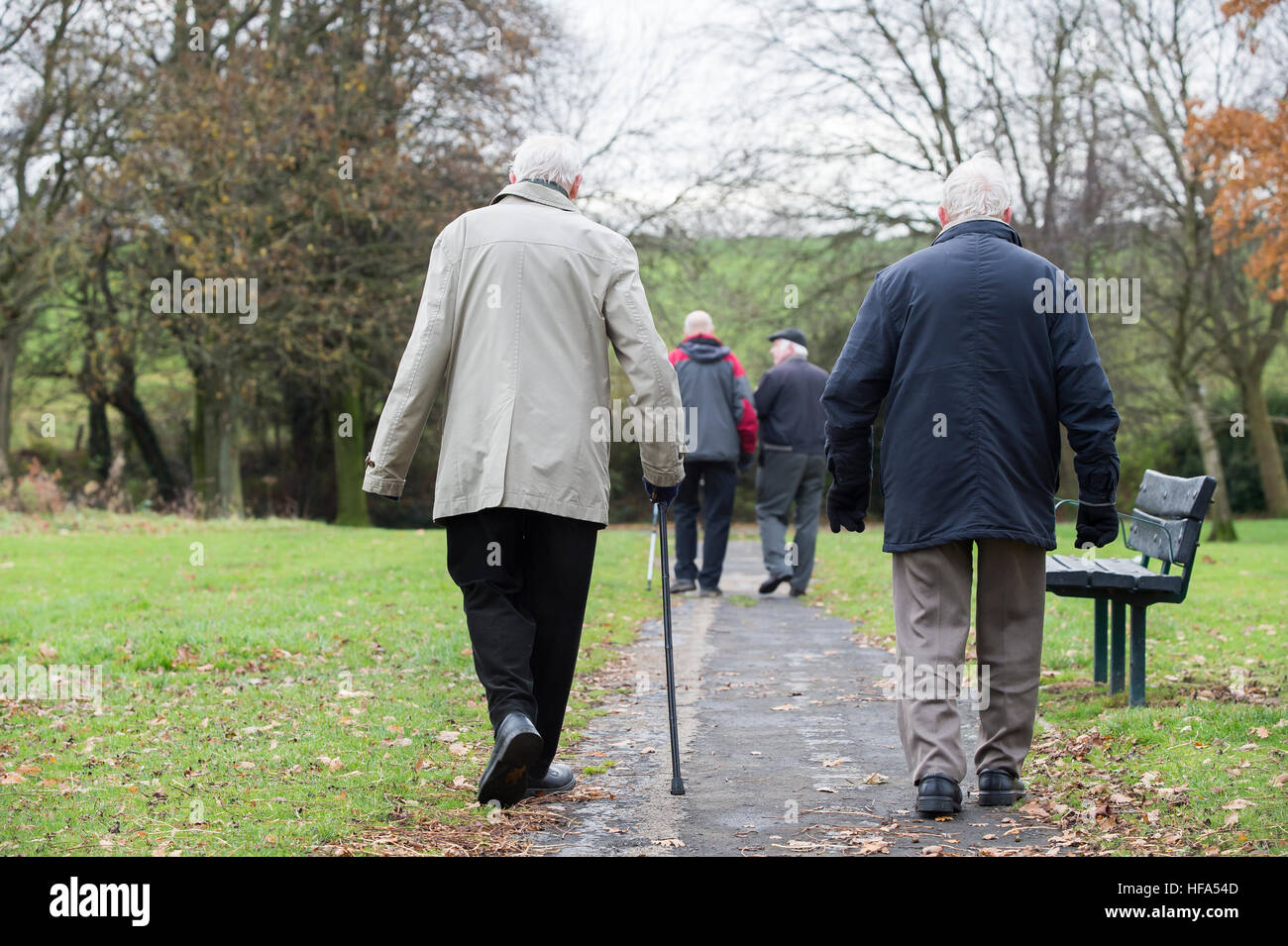 Two elderly men, one using a walking stick,  walking in an English park. Stock Photo