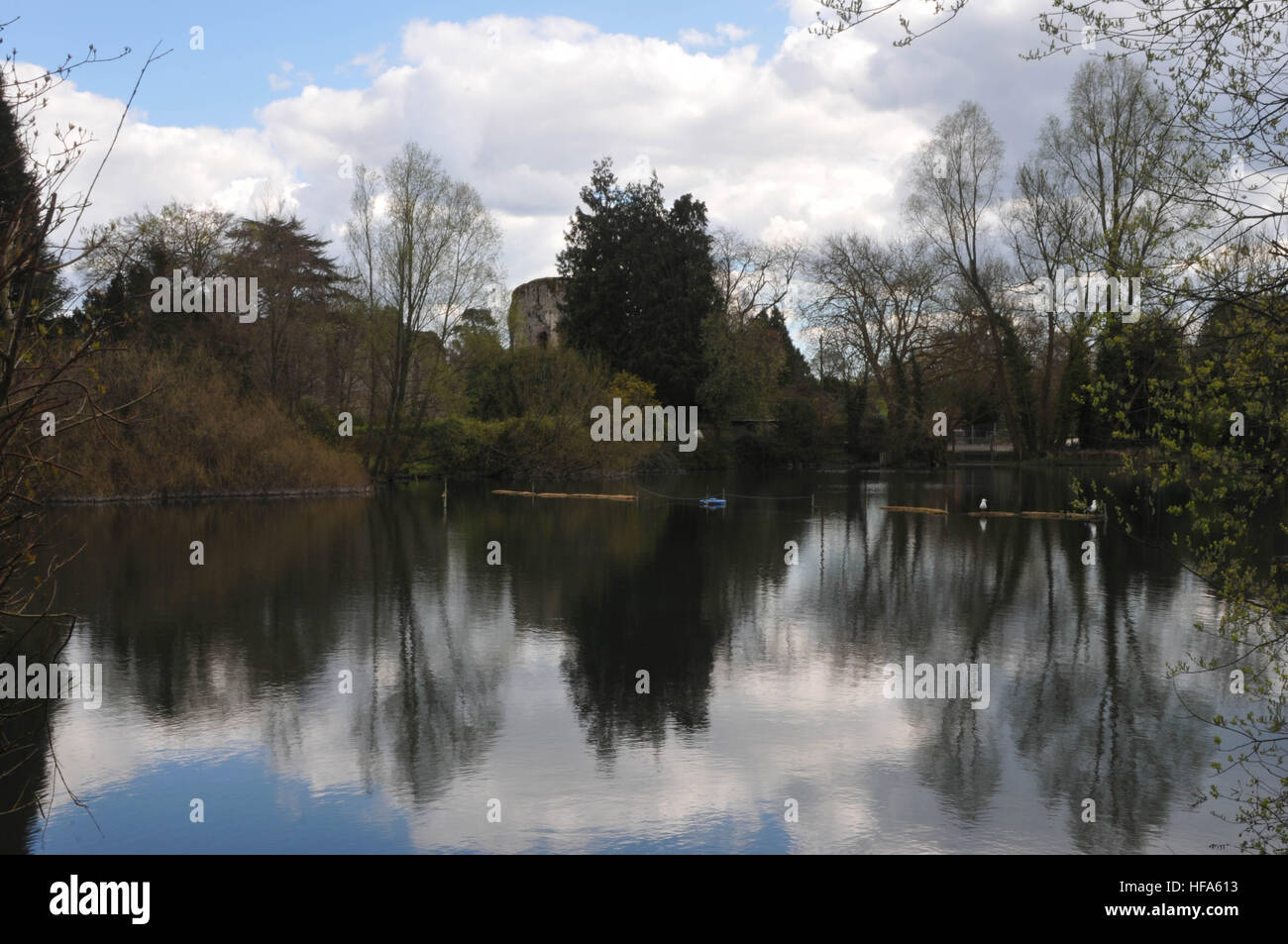 Around Waltham a village in Hampshire in the UK , England Home