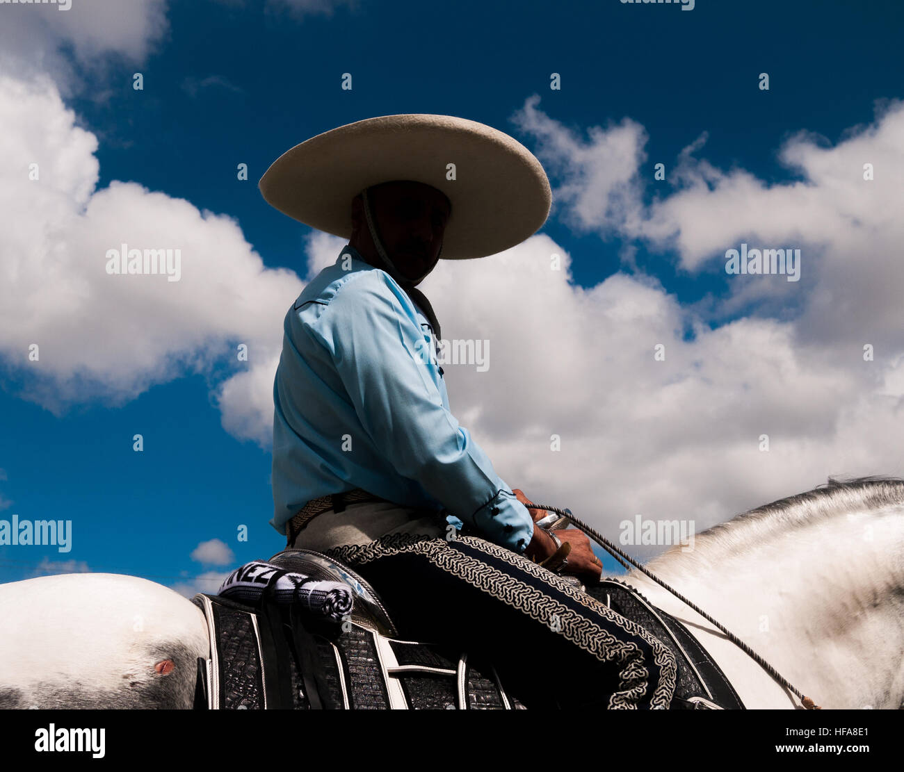 Man riding horse with face in shadows, with a cloudy sky in the
