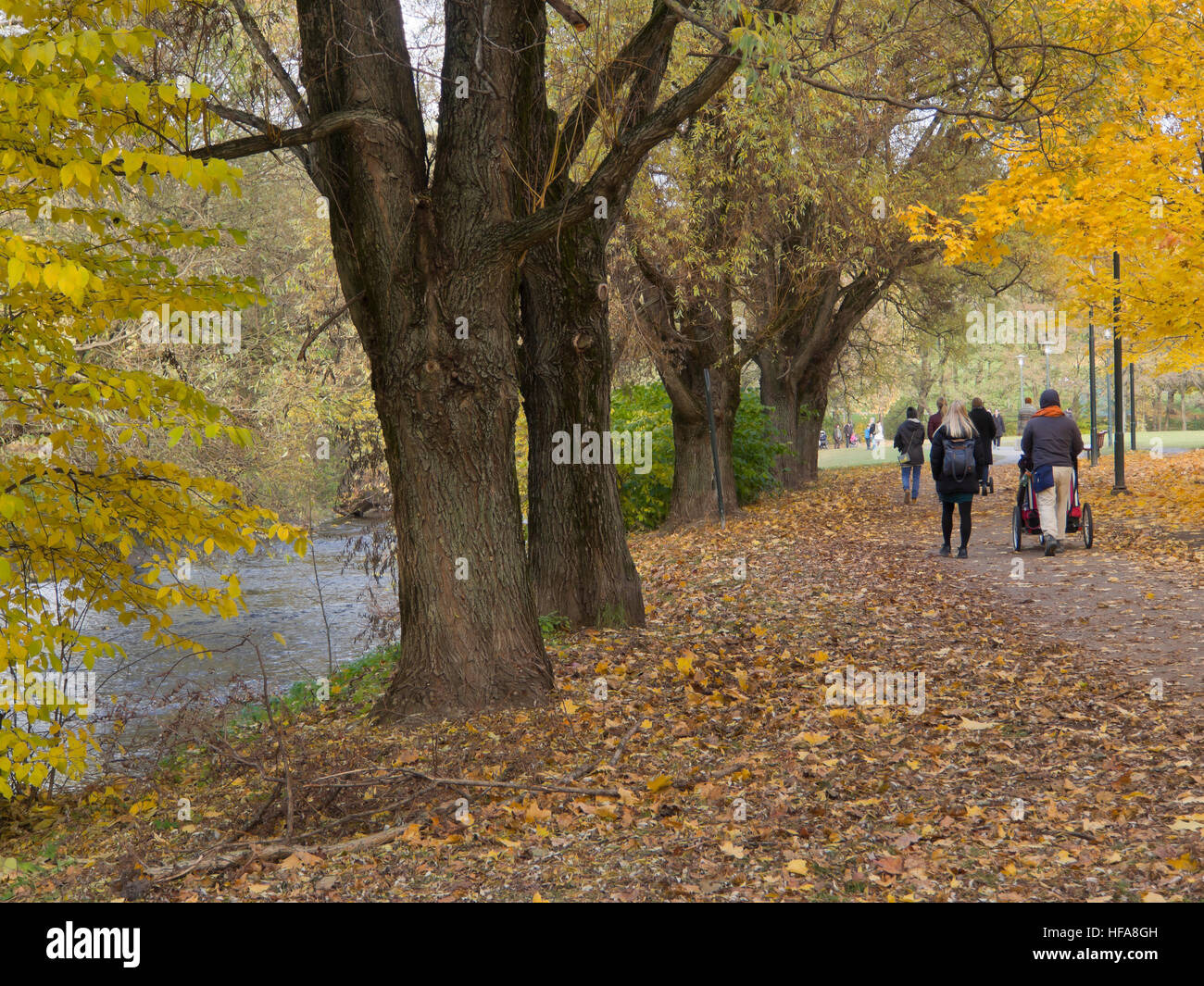 Yellow dominating the banks of Akerselva river on an autumn Sunday , a popular outdoors promenade in Oslo Norway Stock Photo