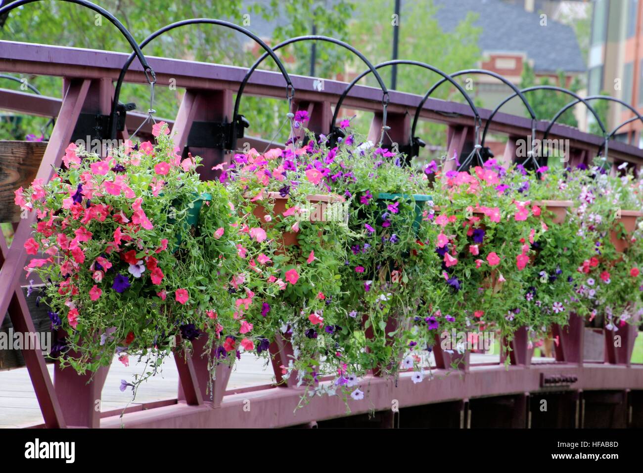 Flowers on the bridge Stock Photo Alamy