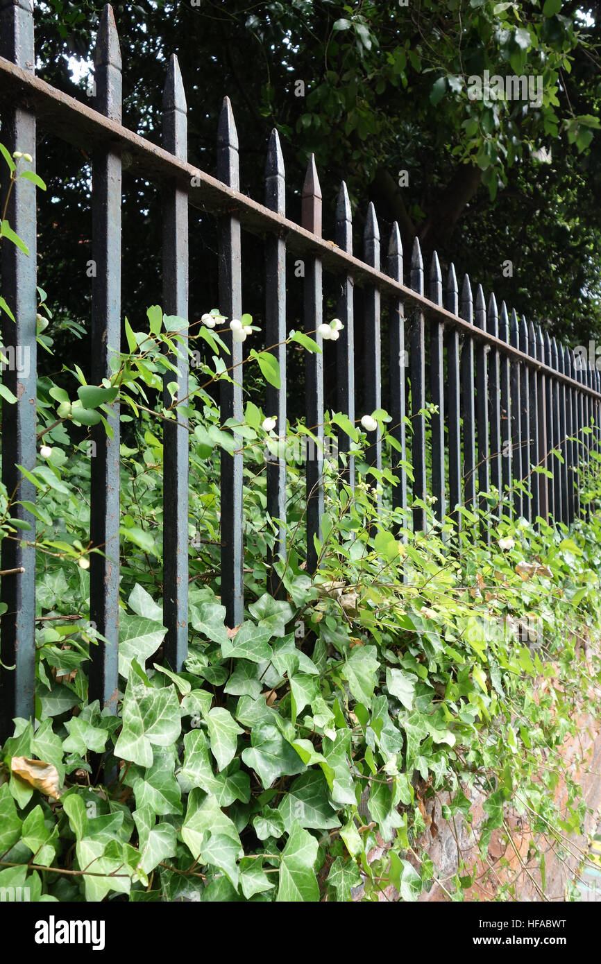 Green wrought iron fence hi-res stock photography and images - Alamy