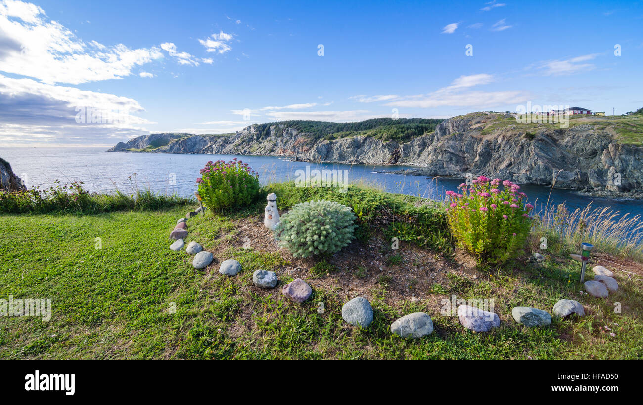 Garden by the sea in Twillingate, Newfoundland.  Simple flower and shrub garden in summer at the top of a cliff near the ocean. Stock Photo