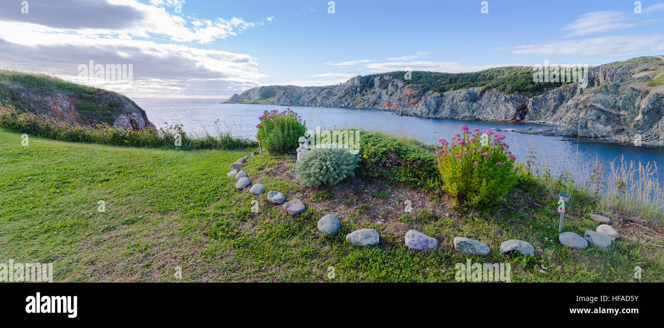 Garden by the sea in Twillingate, Newfoundland.  Simple flower and shrub garden in summer at the top of a cliff near the ocean. Stock Photo