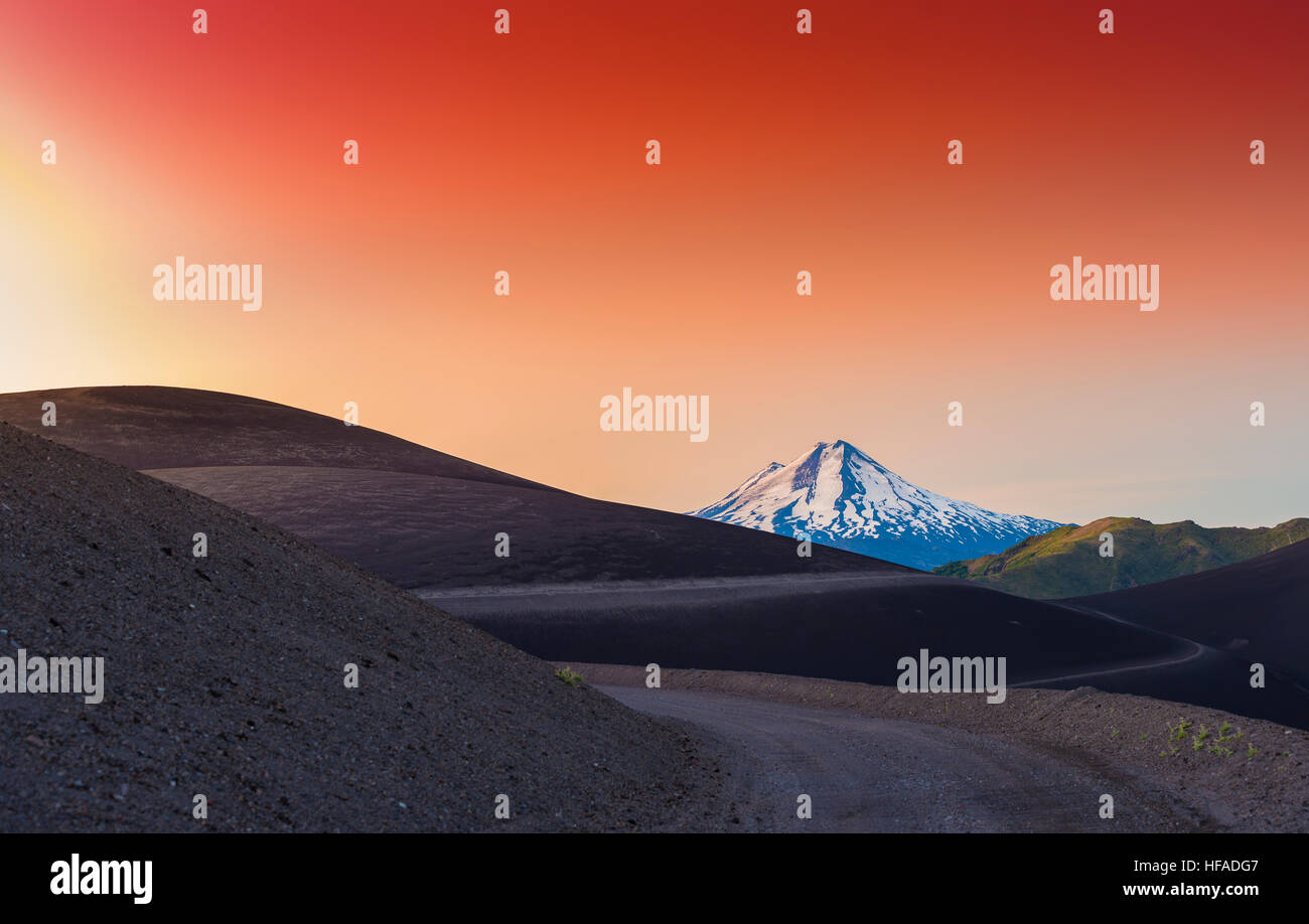 Native trees chile hi-res stock photography and images - Alamy