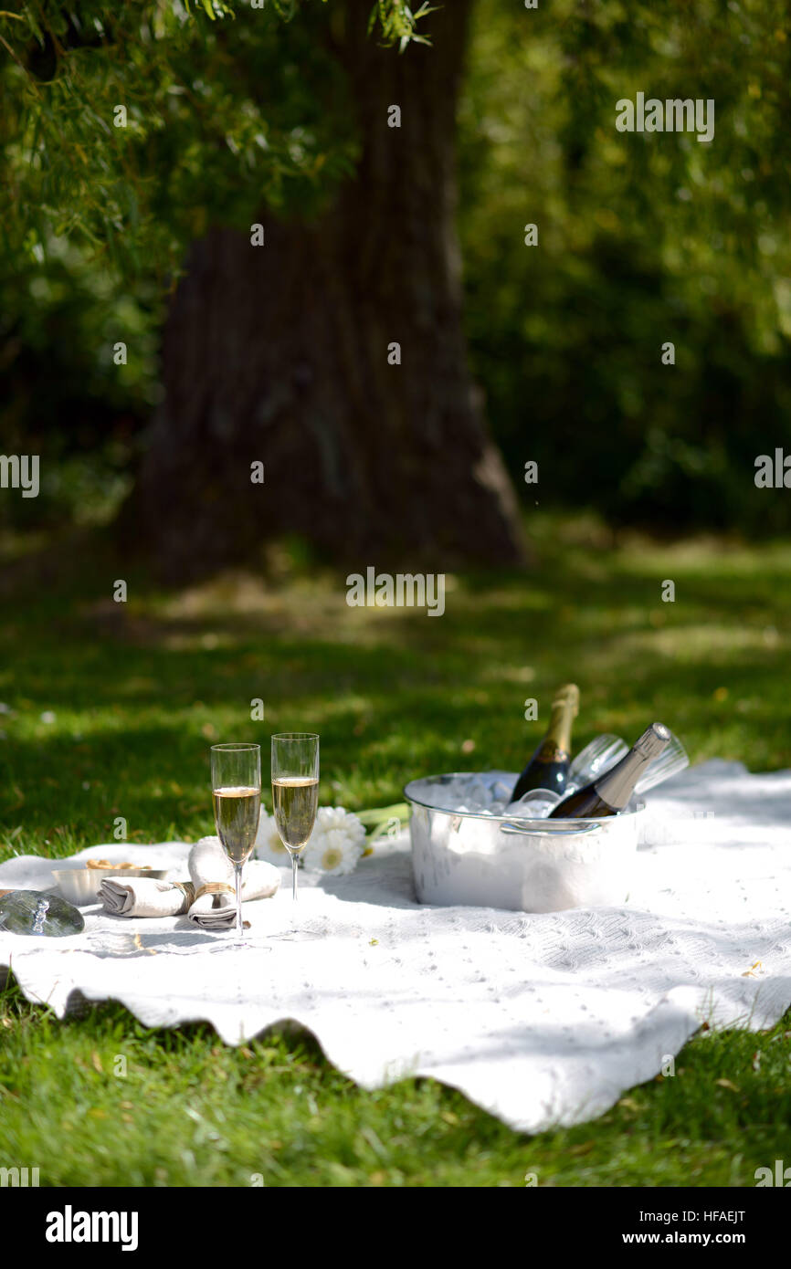luxury summer picnic with champagne and silverware Stock Photo