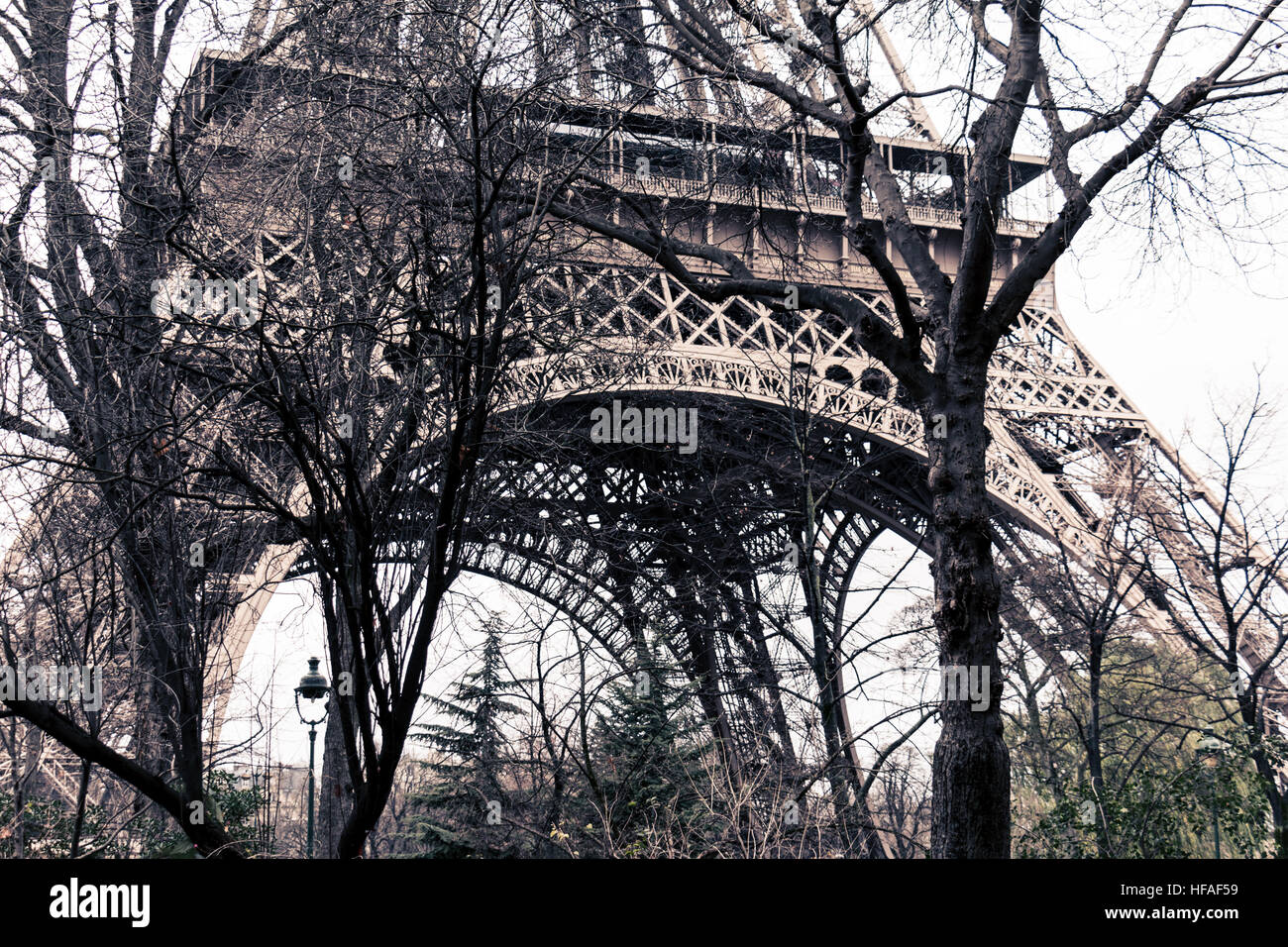 Detail of the Eiffel tower shot in between trees in Paris, France Stock Photo