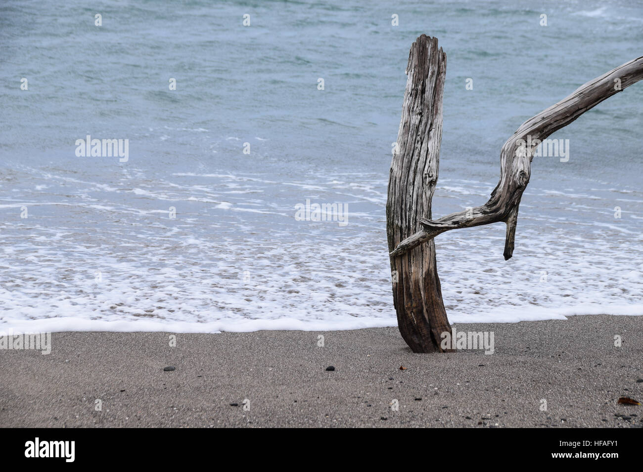 Black and white abstract driftwood hi-res stock photography and images ...