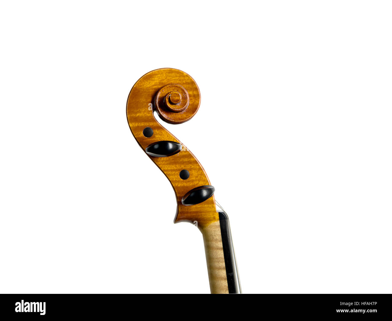 Neck violin Cut Out Stock Images & Pictures Alamy