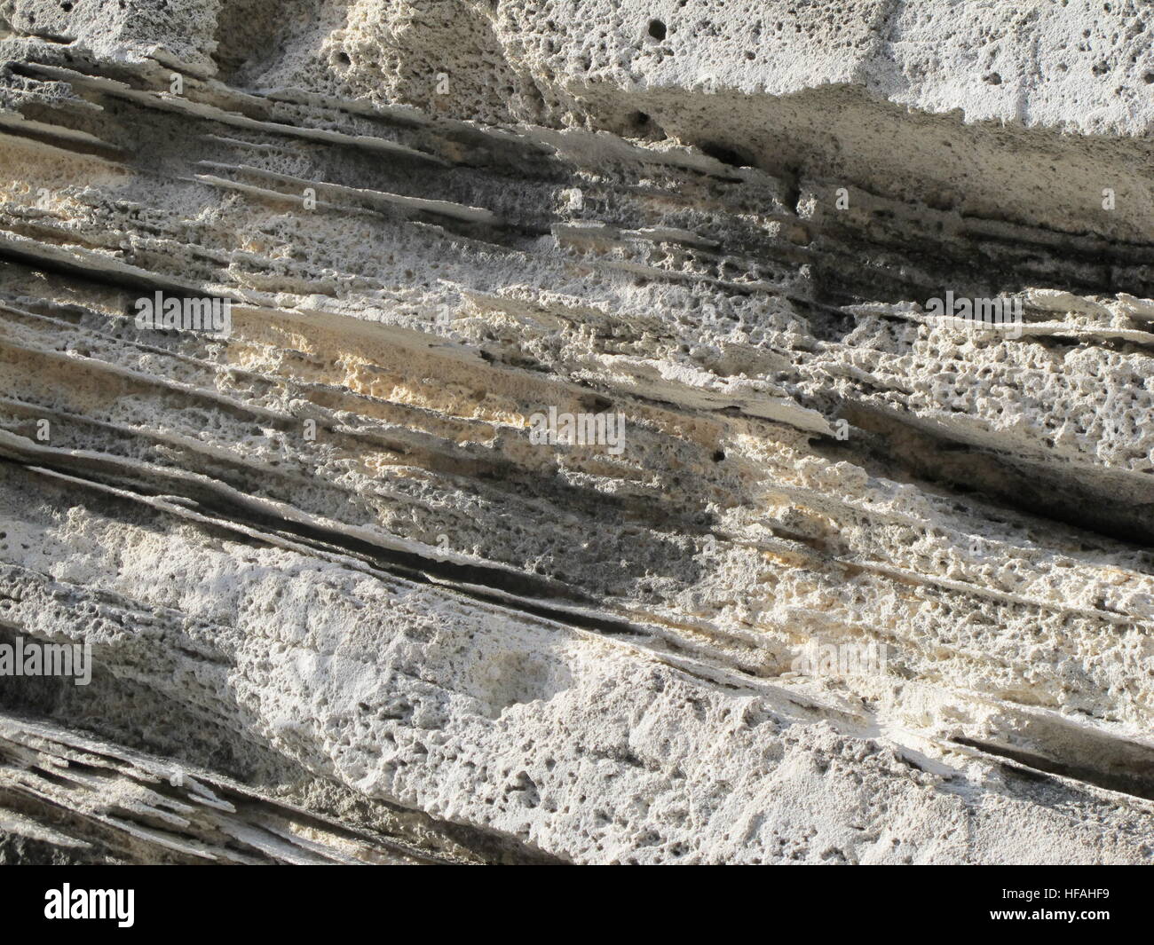 Close up of lime stone showing the different layers of the rock, Bermuda Stock Photo