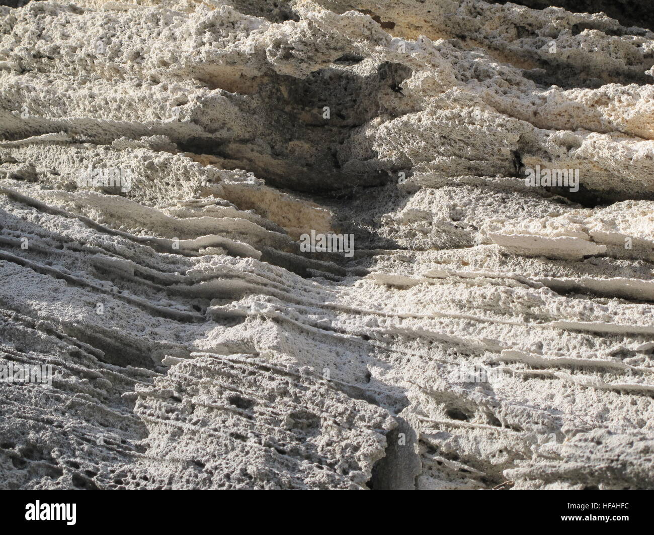 Close up of lime stone sedimentary rocks showing the different layers, Bermuda Stock Photo