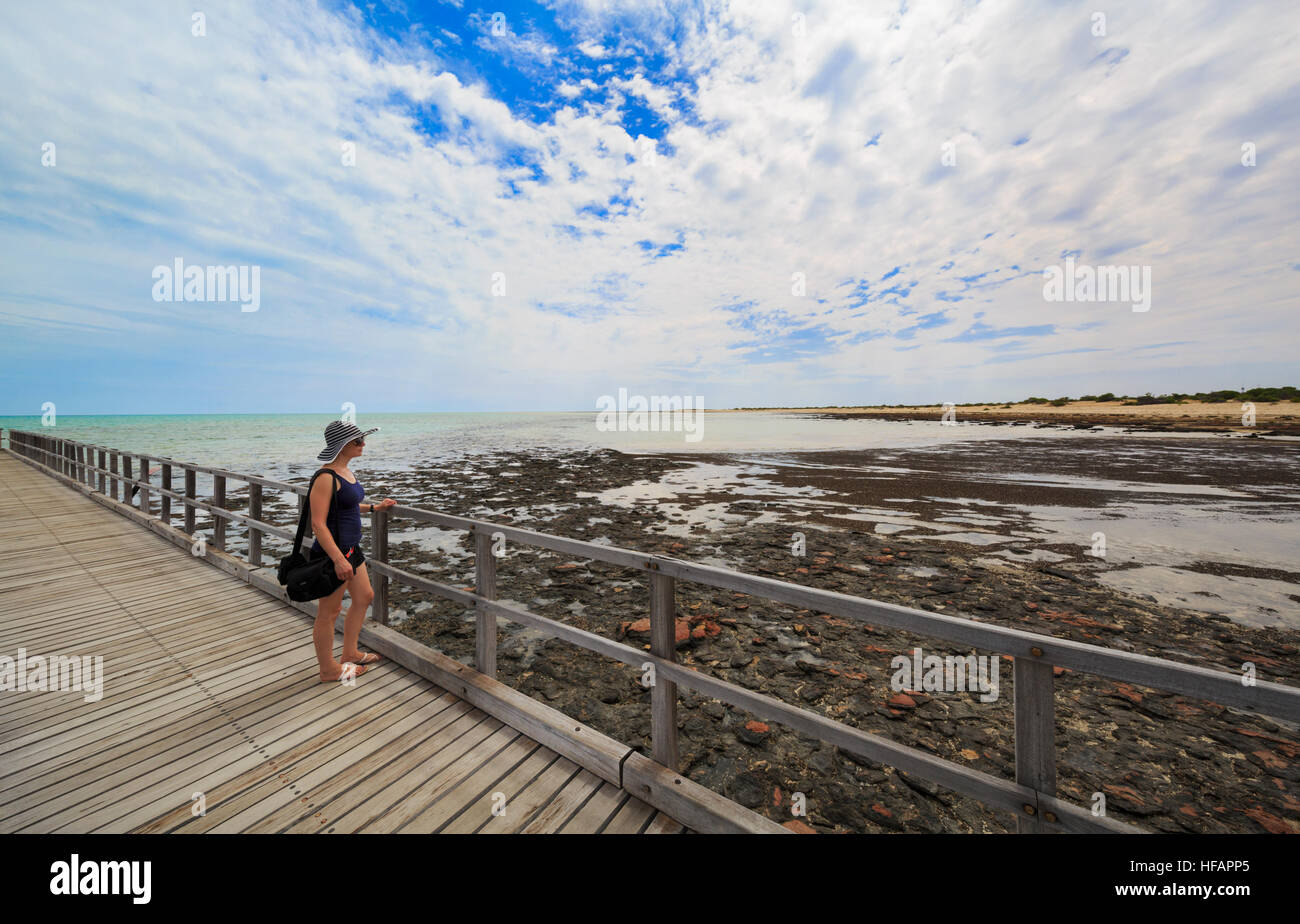 A woman observing the stromatolites from the boardwalk at Hamelin Pool Marine Nature Reserve. Shark Bay, Western Australia Stock Photo
