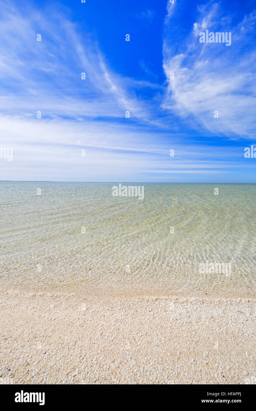 Shell Beach -formed from the billions of mollusc shells- in Shark Bay, Western Australia Stock Photo