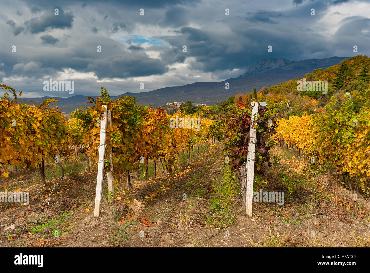 Mountain landscape with vineyards and dark skies at fall season on Crimean peninsula Stock Photo