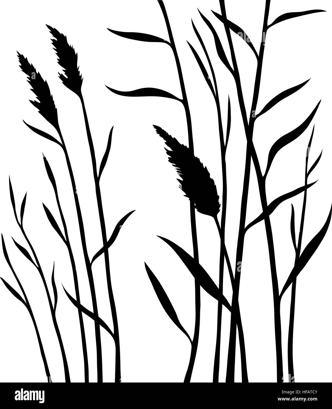 Silhouette of the reed isolated on white background Stock Vector