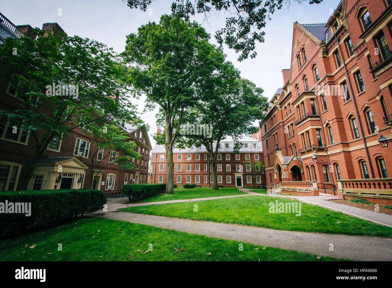 Buildings and walkways at the Harvard Yard, at Harvard University, in