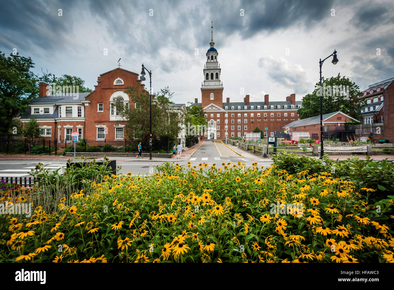 Flowers and the Lowell House, at Harvard University, in Cambridge, Massachusetts Stock Photo Alamy