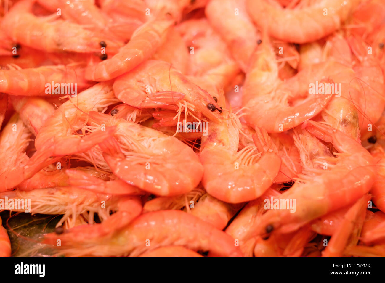 Clam seafood hires stock photography and images Alamy