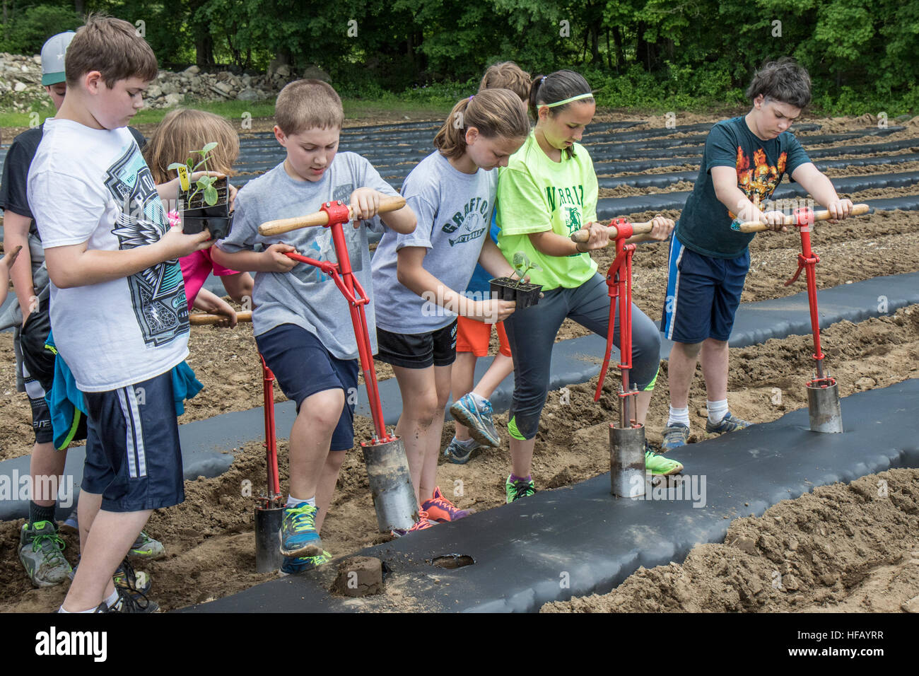 People Working In A Large Vegetable Garden Children Using Tools To People Working In A Large Vegetable Garden Children Using Tools To
