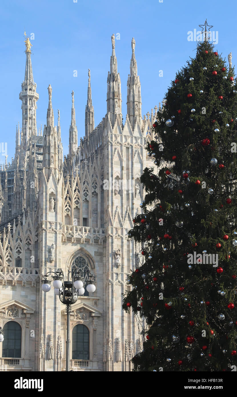 big Christmas tree in front of the cathedral of milan in italy in