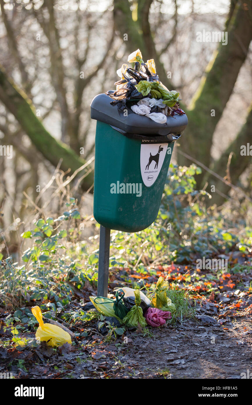 An over-flowing dog waste bin in Malvern, UK Stock Photo