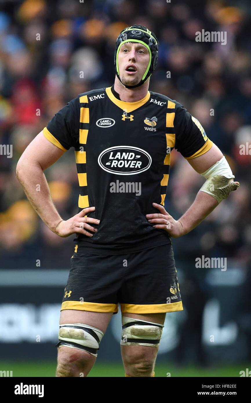 James Gaskell, Wasps Stock Photo - Alamy