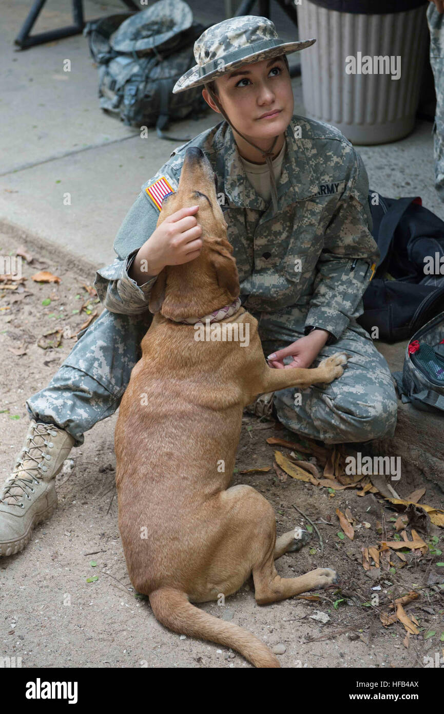 U.S. and partner nation military personnel conducted civil-military ...