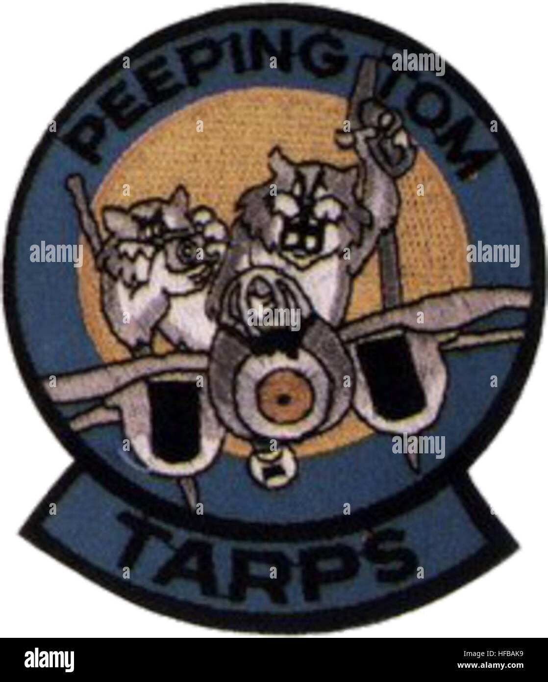 F14 Tomcat TARPS squadron (US Navy) patch 1988 Stock Photo Alamy