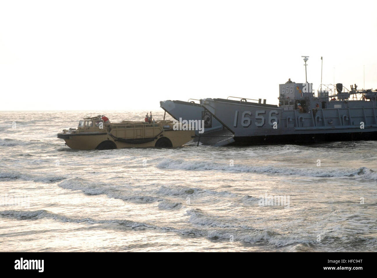 Landing Craft Utility 1656 picks up a light amphibious re-supply cargo vehicle from Beach Master Unit 2 at the beach in Galveston, Texas, to deliver hay to cows stranded by water in the aftermath of Hurricane Ike. BMU-2 and LCU 1656 are working with the amphibious assault ship USS Nassau to render disaster response and aid to civil authorities as directed in the wake of Hurricane Ike. Light amphibious re-supply cargo vehicle delivers hay to stranded cows on Galveston beach 117365 Stock Photo