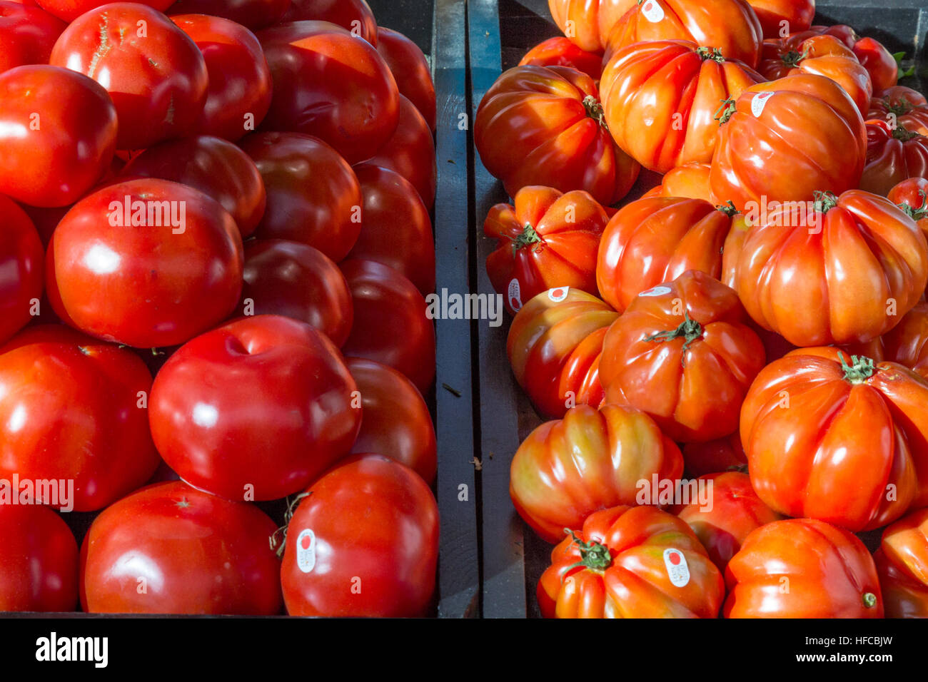 Normal tomatoes next to beefsteak tomatoes on Jean Talon Green Market in Montreal, QC, Canada Stock Photo