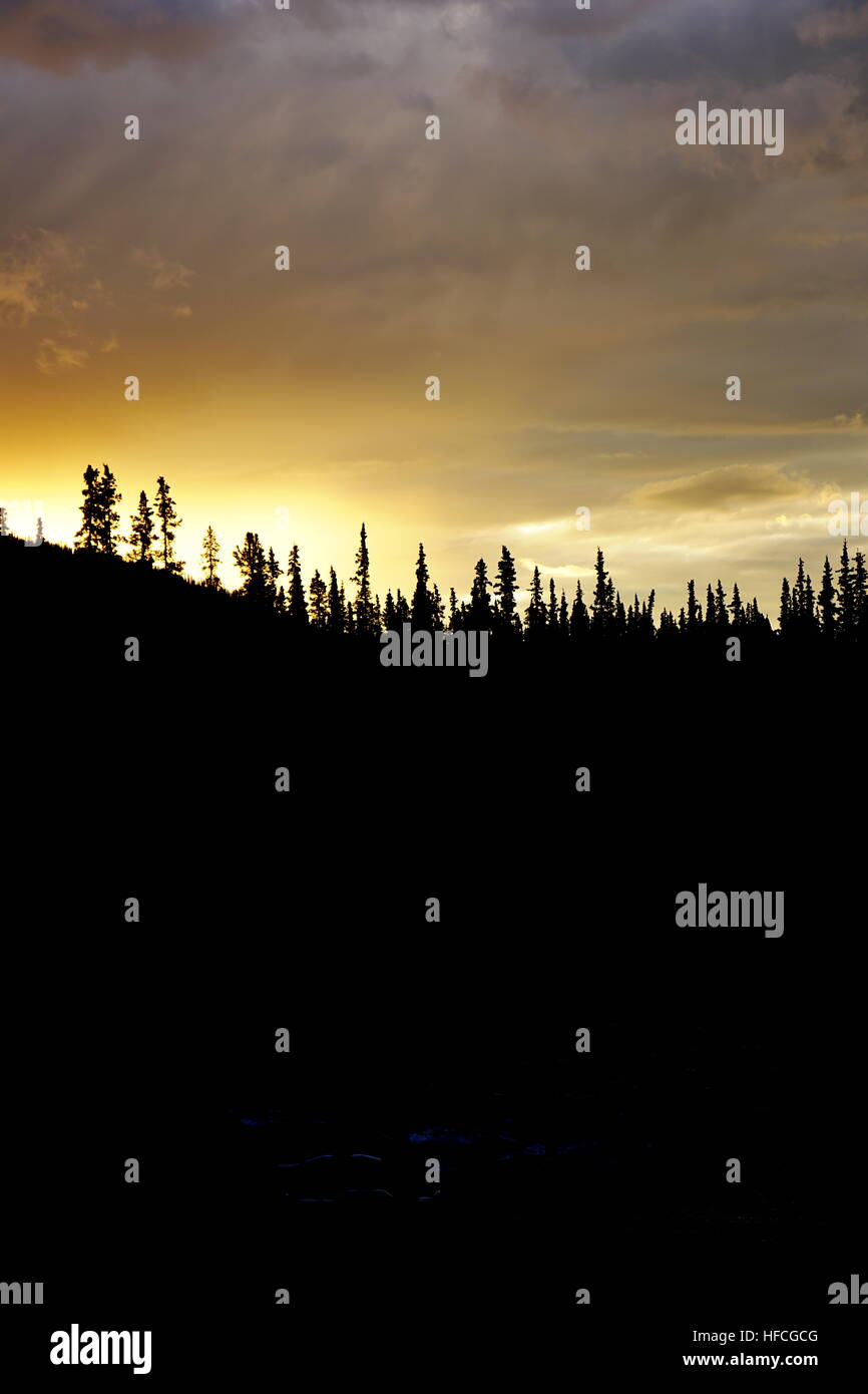 Golden sky above the dark forest at sunset, Talkeetna Historic District, Alaska, USA Stock Photo