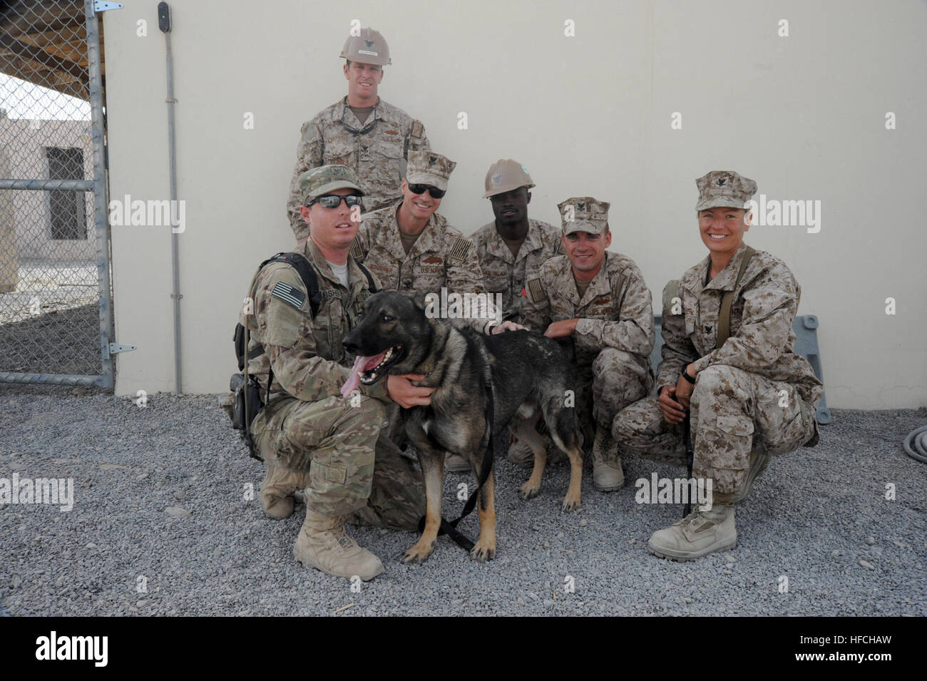 Seabees attached to Naval Mobile Construction Battalion (NMCB) 28 pose for a photo with Master-at-Arms 2nd Class Douglas Fisher, Military Working Dog (MWD) Master-at-Arms 1st Class Buksi (front row from left) Oct. 11, 2013. Seabees, from left are: Builder 1st Class Mark Campbell, Steelworker 1st Class Michael Boucher, Builder 3rd Class Peter Appiah, Builder 2nd Class Danny Gingerich and Builder 3rd Class Christine Fletcher. NMCB 28 is based out of Barksdale Air Force Base, Shreveport, La., and is currently deployed to Afghanistan in support of Operation Enduring Freedom. (U.S. Navy photo by Ma Stock Photo