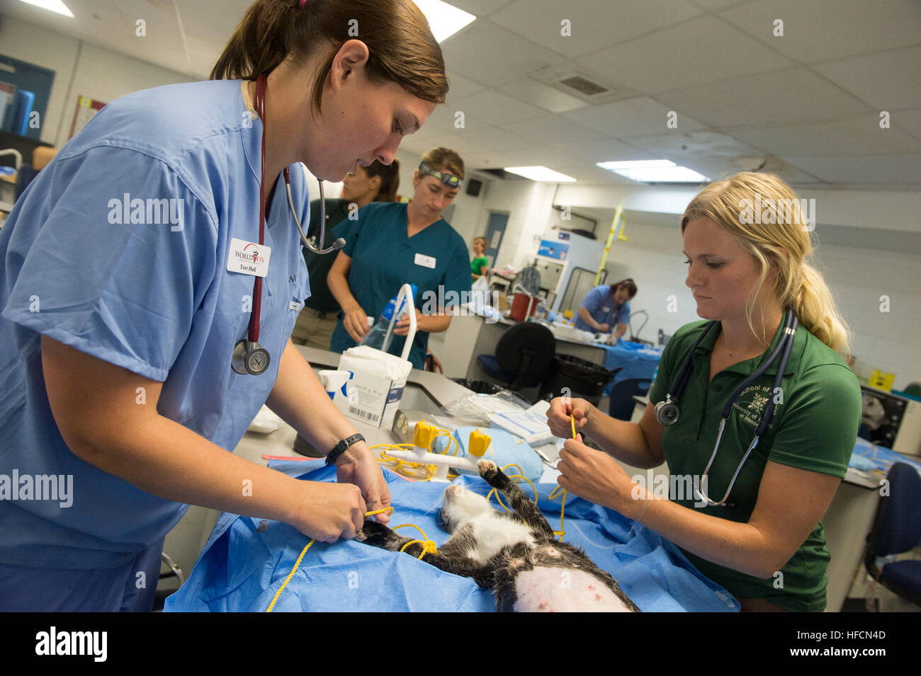 130705-N-SP369-094 MAJURO, Marshall Islands (July 5, 2013) Tori Hall, left,  a veterinary technician volunteer with World Vets and Marguerite Susich, a  registered nurse volunteer with the University of Hawaii, prepare a cat