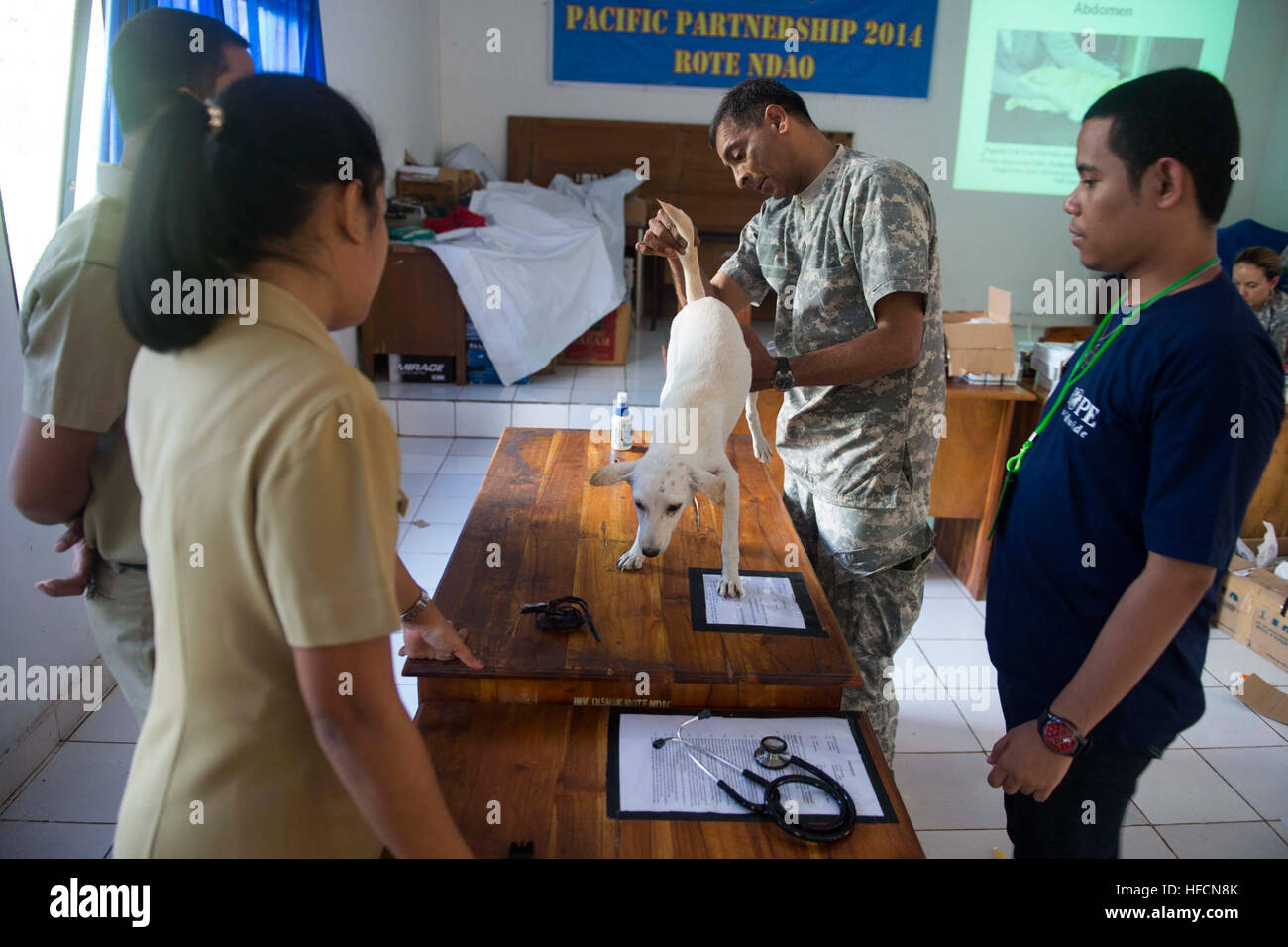 U.S. Army Maj. Raghavan Sampathkumaran, a veterinarian from Lompoc, Calif., assigned to the 109th Medical Detachment Veterinary Services, demonstrates a pre-surgery physical examination on a dog for Indonesian animal doctors and veterinarian medics as part of a veterinarian subject matter expert exchange at Dinas Peternakan Rote Ndao veterinarian clinic in Ba'a, Indonesia, during Pacific Partnership 2014. Pacific Partnership is in its ninth iteration and is the largest annual multilateral humanitarian assistance and disaster relief preparedness mission conducted in the Asia-Pacific region. (U. Stock Photo