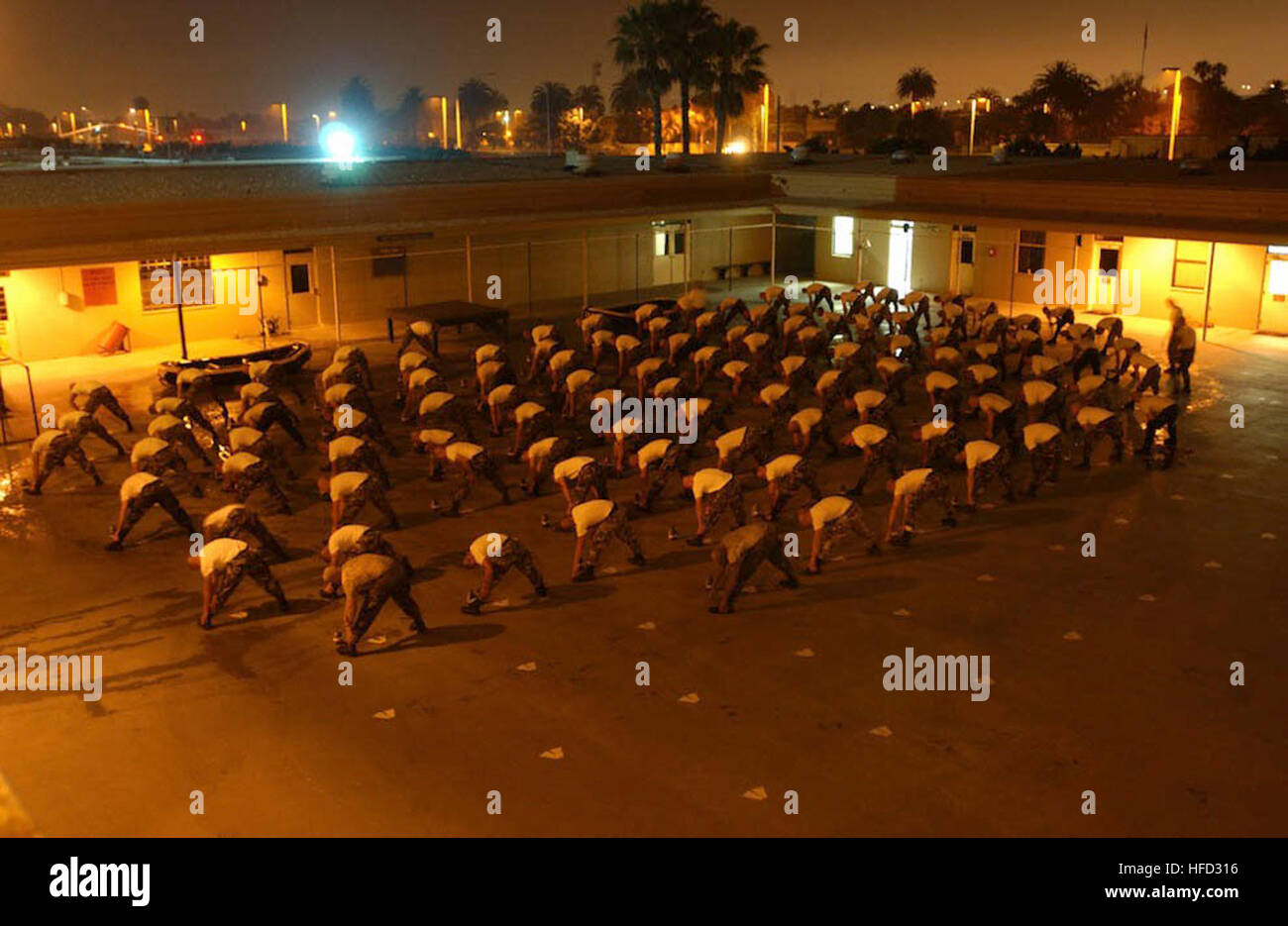 Seals doing gymnastics Stock Photo Alamy