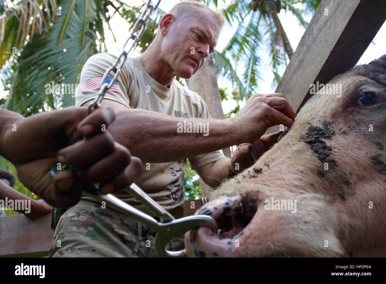 Skin Samples High Resolution Stock Photography and Images - Alamy