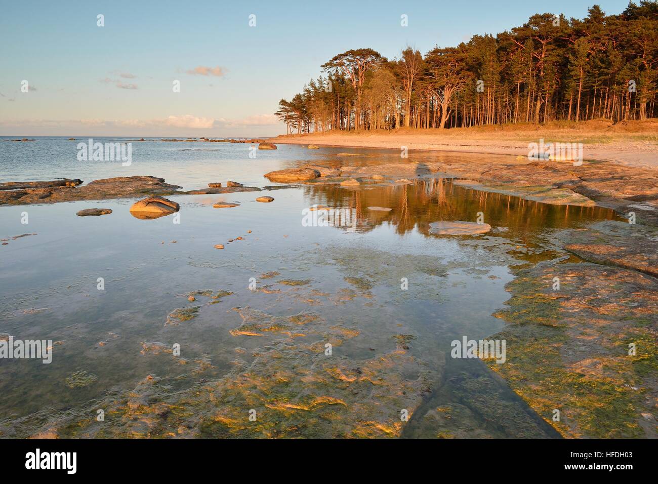 Beautiful sunset beach trees hi-res stock photography and images - Alamy