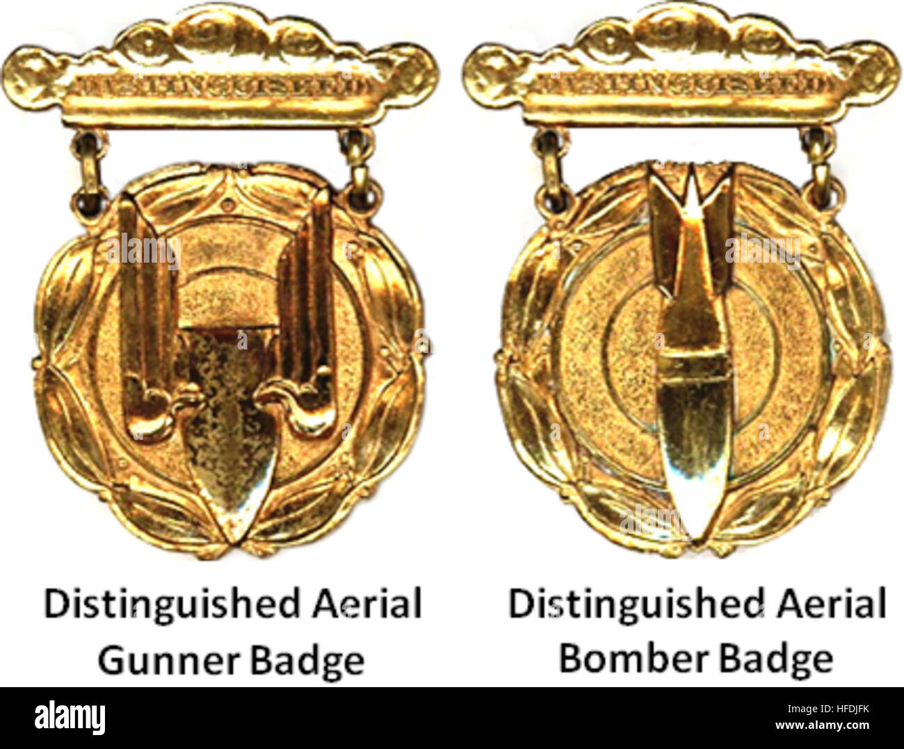 Former US Army Distinguished Aerial Badges Stock Photo Alamy