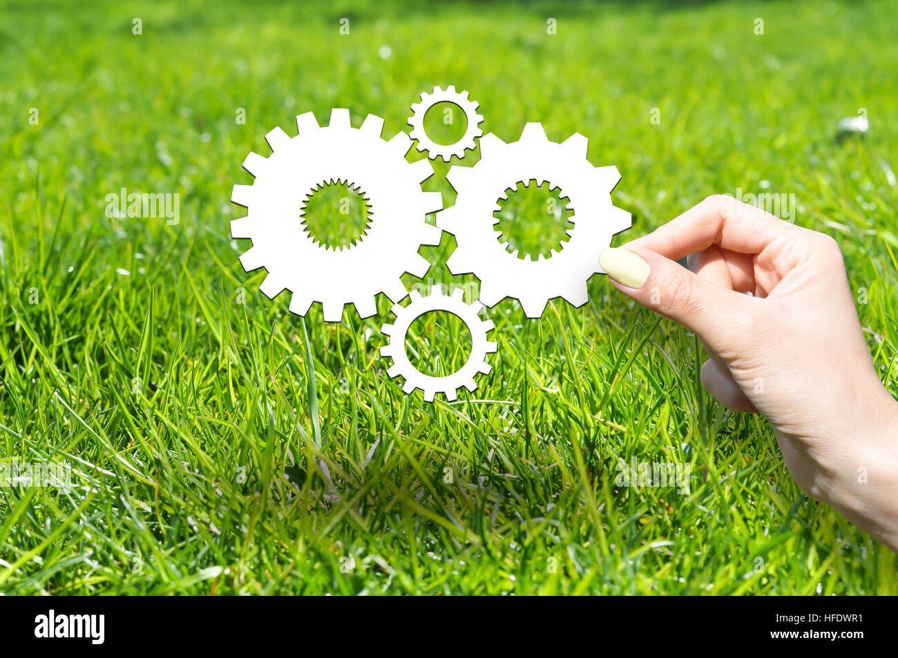 Know how concept with wheels and gears on green grass Stock Photo
