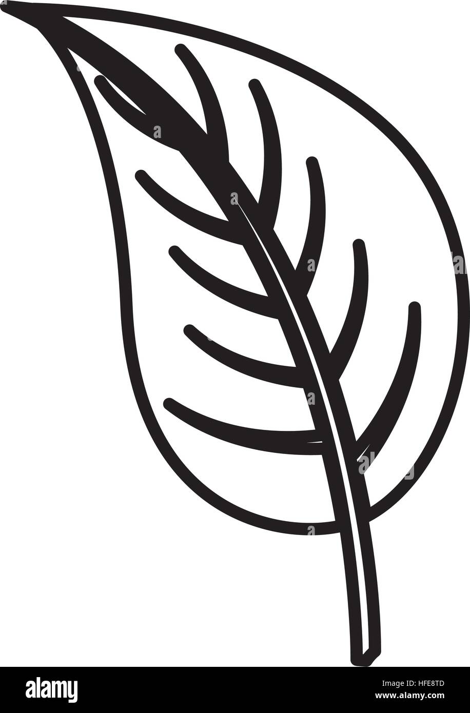 leafs plant isolated icon vector illustration design Stock Vector Image ...