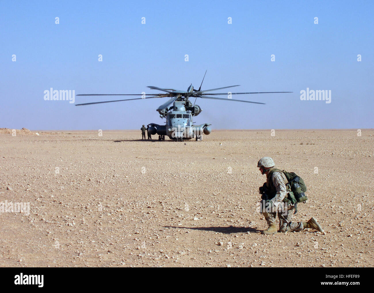 A U.S. Marine from 3rd Light Armored Reconnaissance Battalion (LAR ...