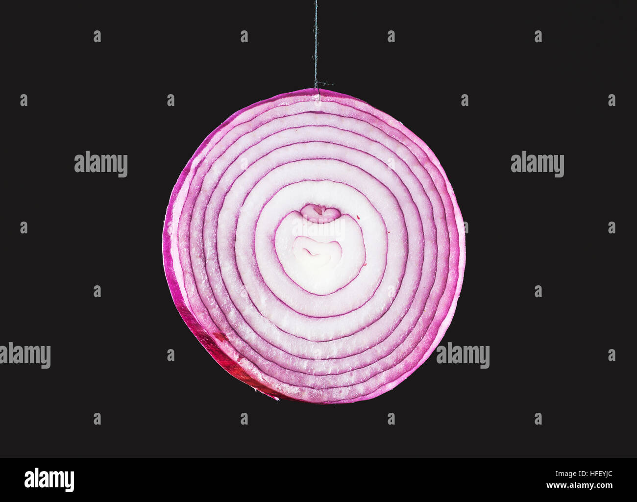 Slice of red onion on black background.  Unique food photo, in studio Stock Photo