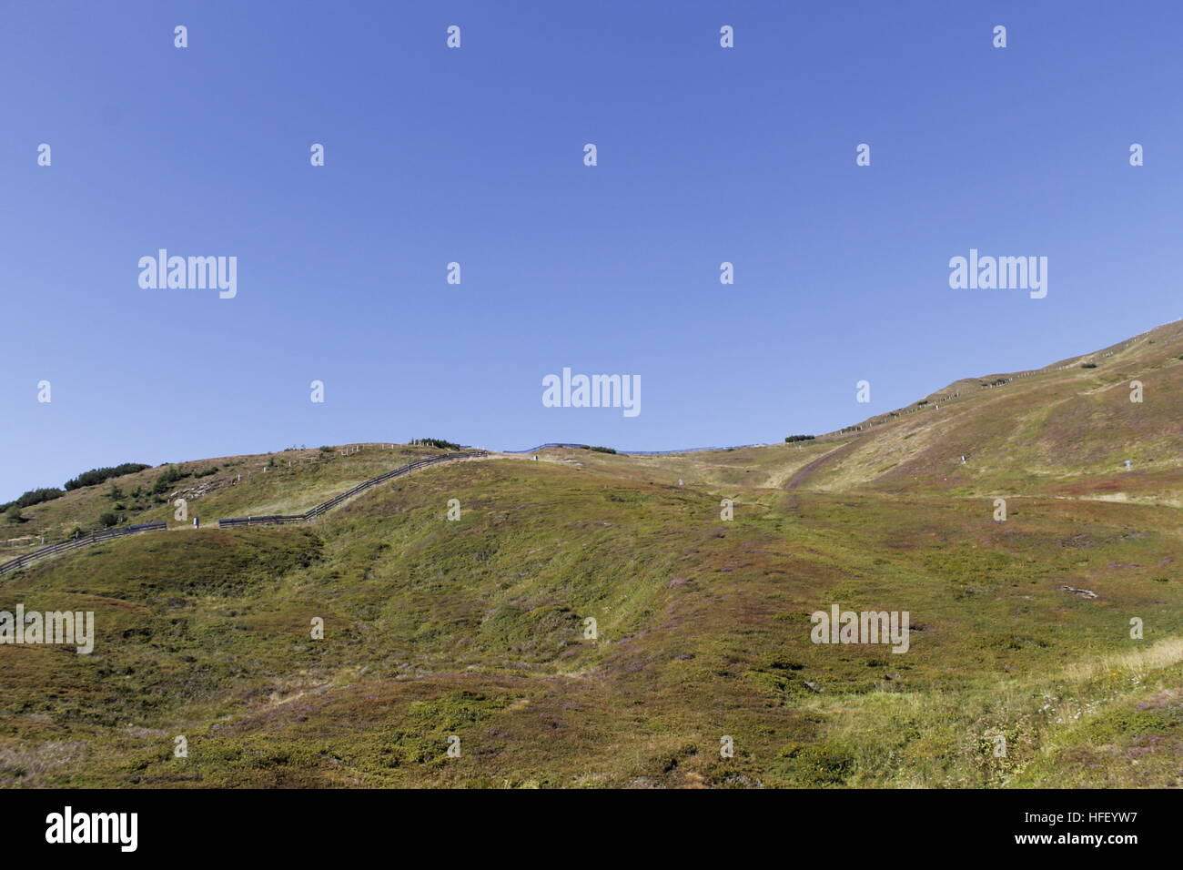 landscape of the Alps mountains in summer Stock Photo - Alamy