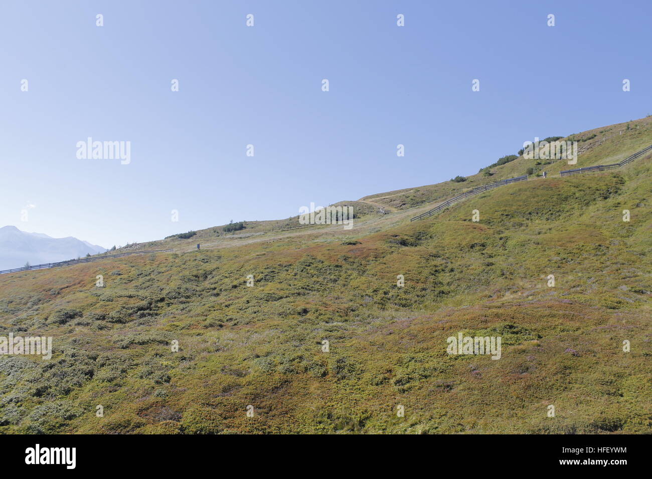 landscape of the Alps mountains in summer Stock Photo - Alamy