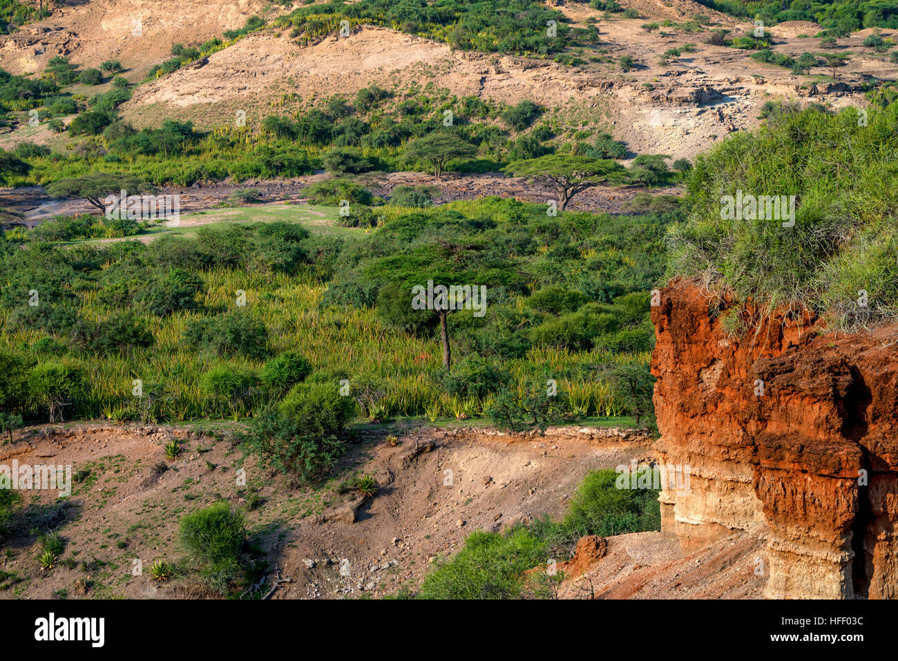 Olduvai is a cradle of mankind, Tanzania, Africa Stock Photo Alamy